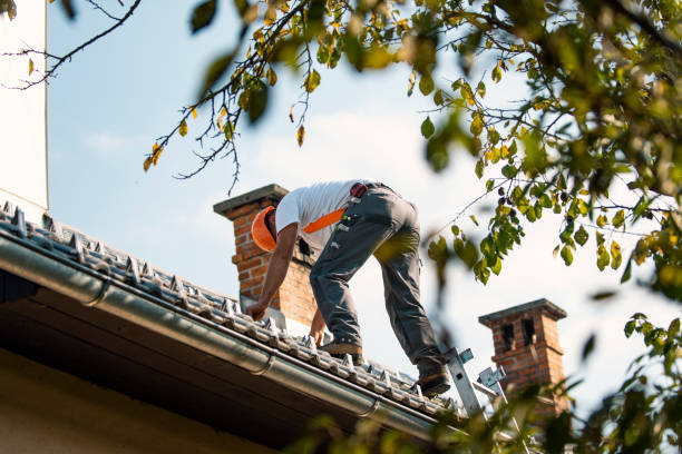 Best Roof Ventilation Installation  in Hermitage, PA